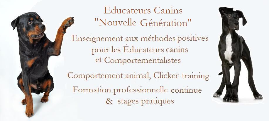 R+  Formation : Educateurs canins nouvelle génération