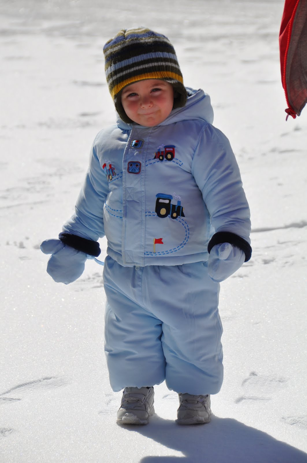 [DSC_0330.JPG]