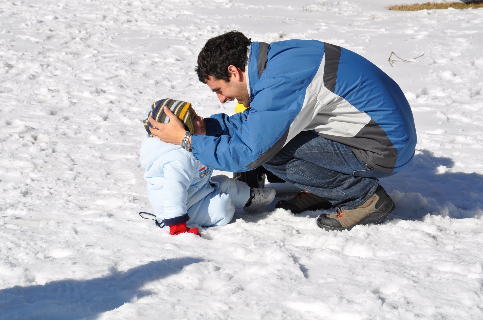 [DSC_0445.JPG]
