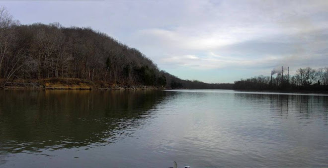Panoramic of Cumberland River
