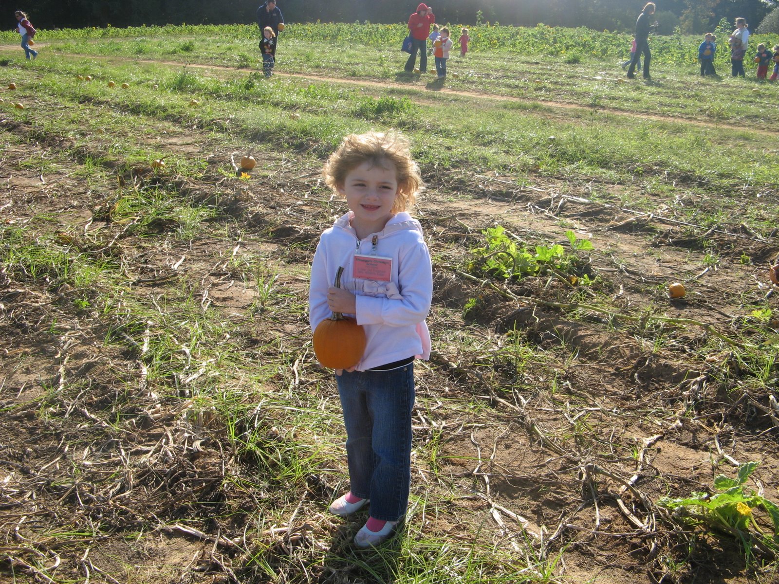 [IMG_3181.JPG]