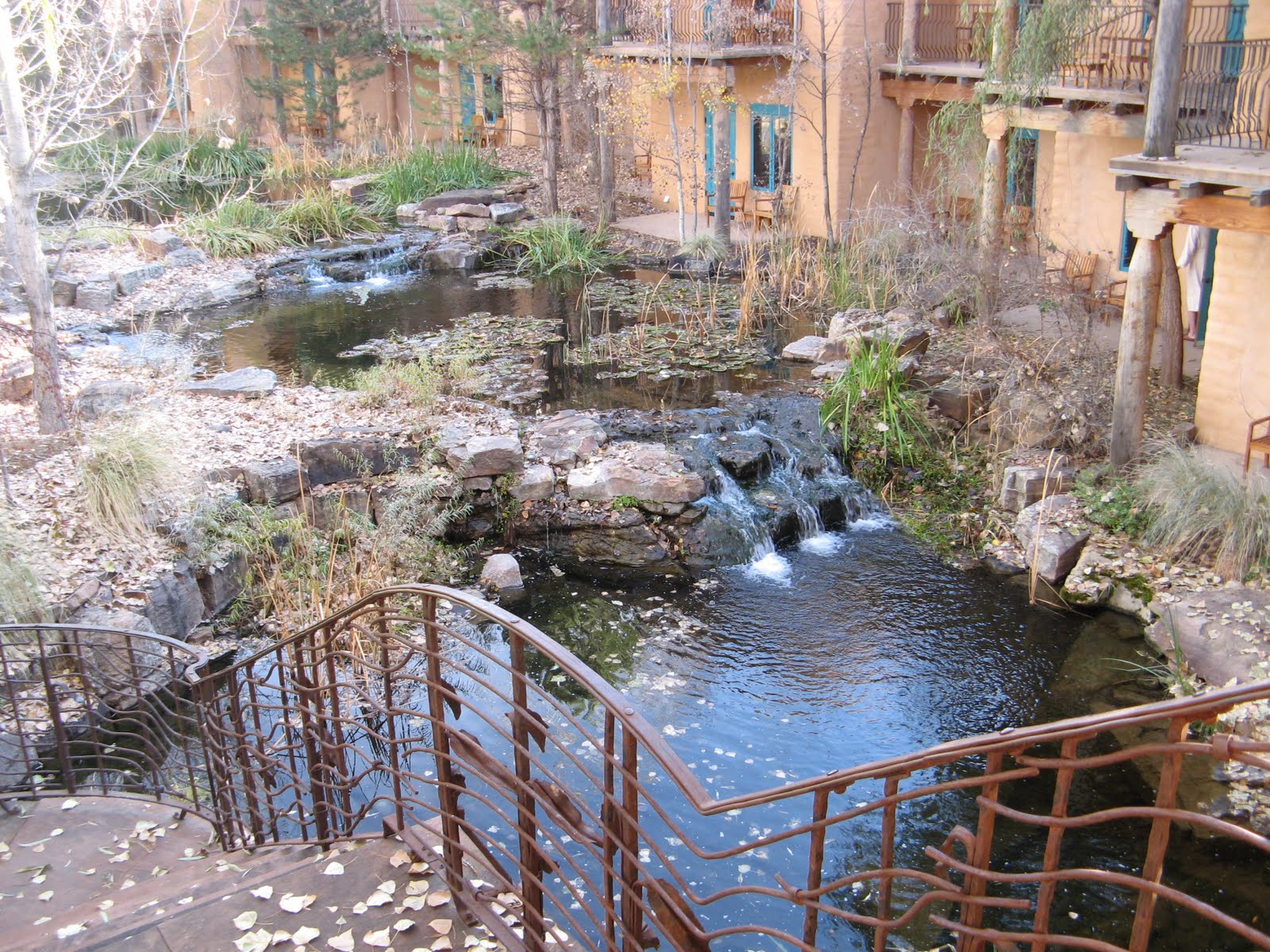 [IMG_0159.JPG]