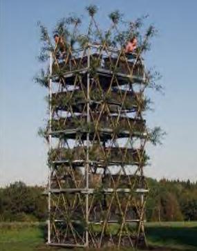 [First+tower+made+of+living+trees.jpg]