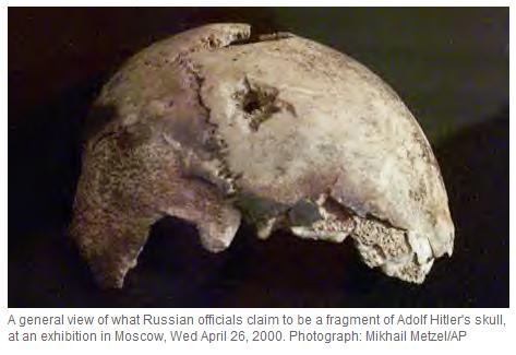 [skull.jpg]