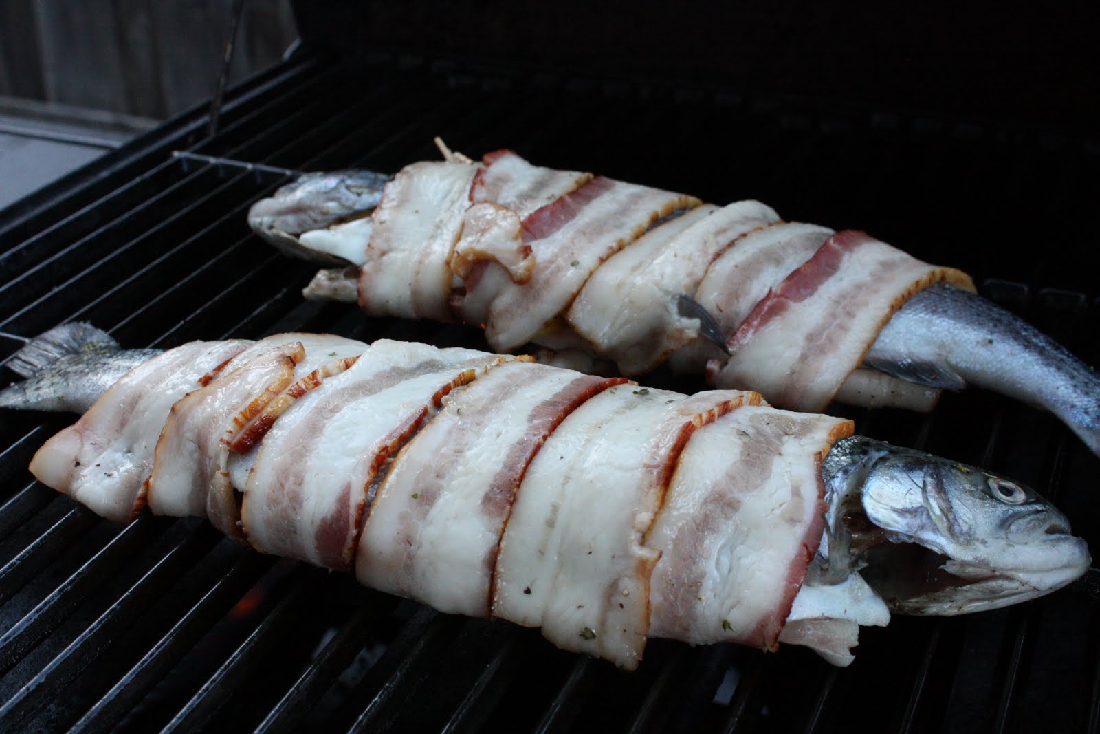 ike's bites BaconWrapped Trout