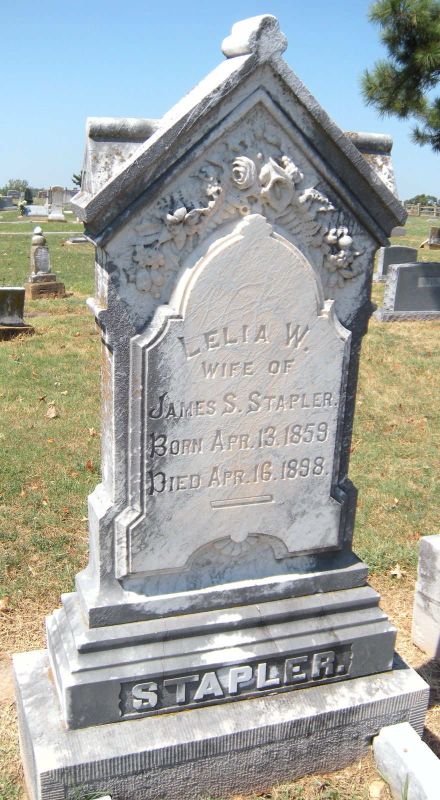 Escape to the Silent Cities Stapler Family Plot