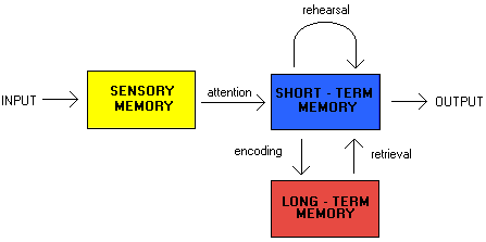 information processing model