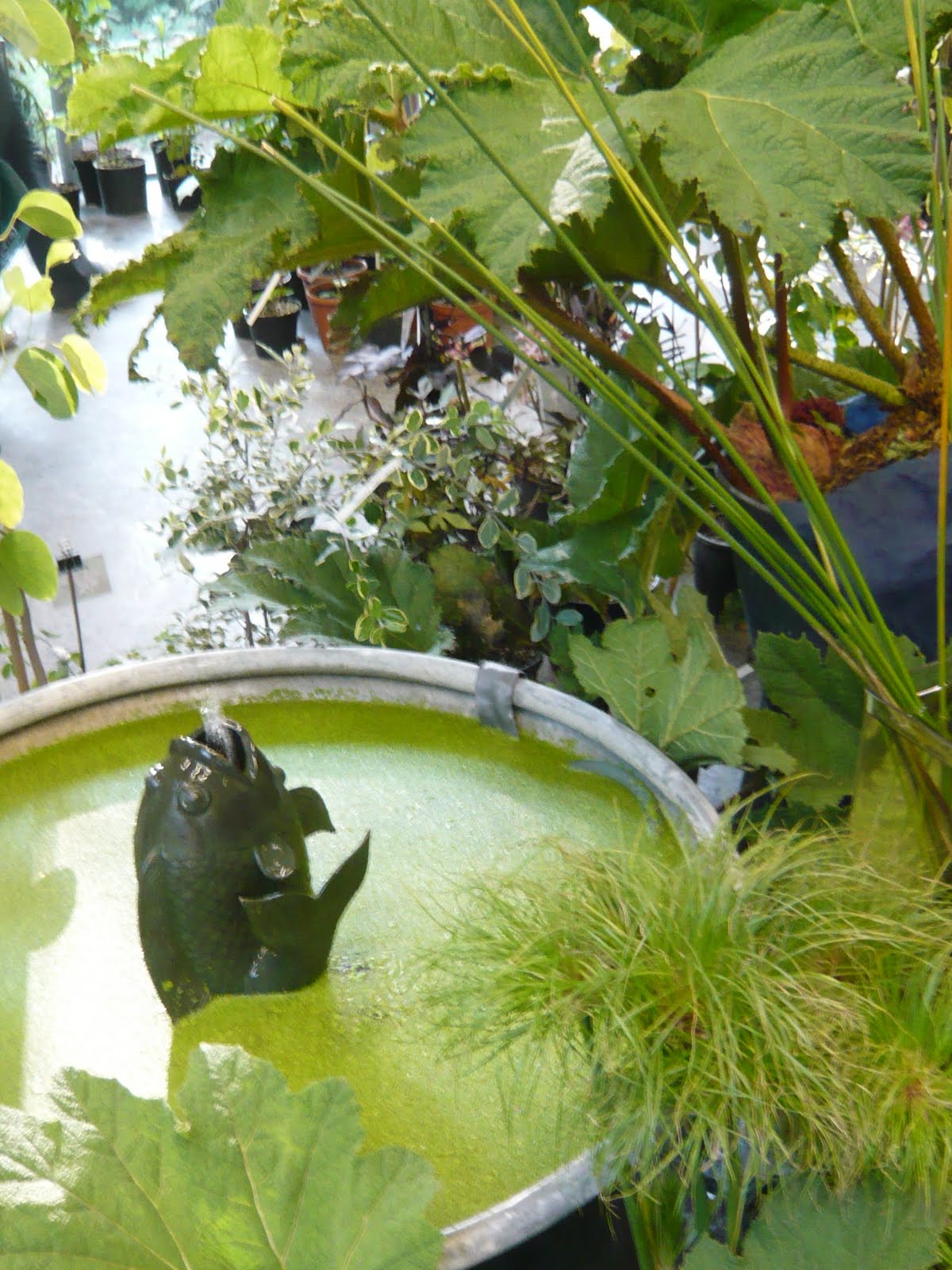 [P1120074.JPG]