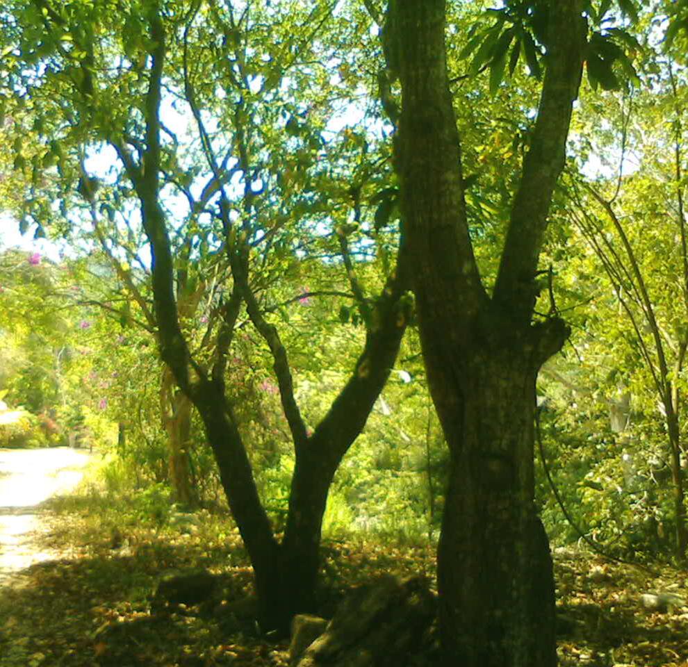 More and MoOre Each Day: Puentesito...xD