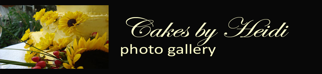 cakesbyheidi-cake gallery