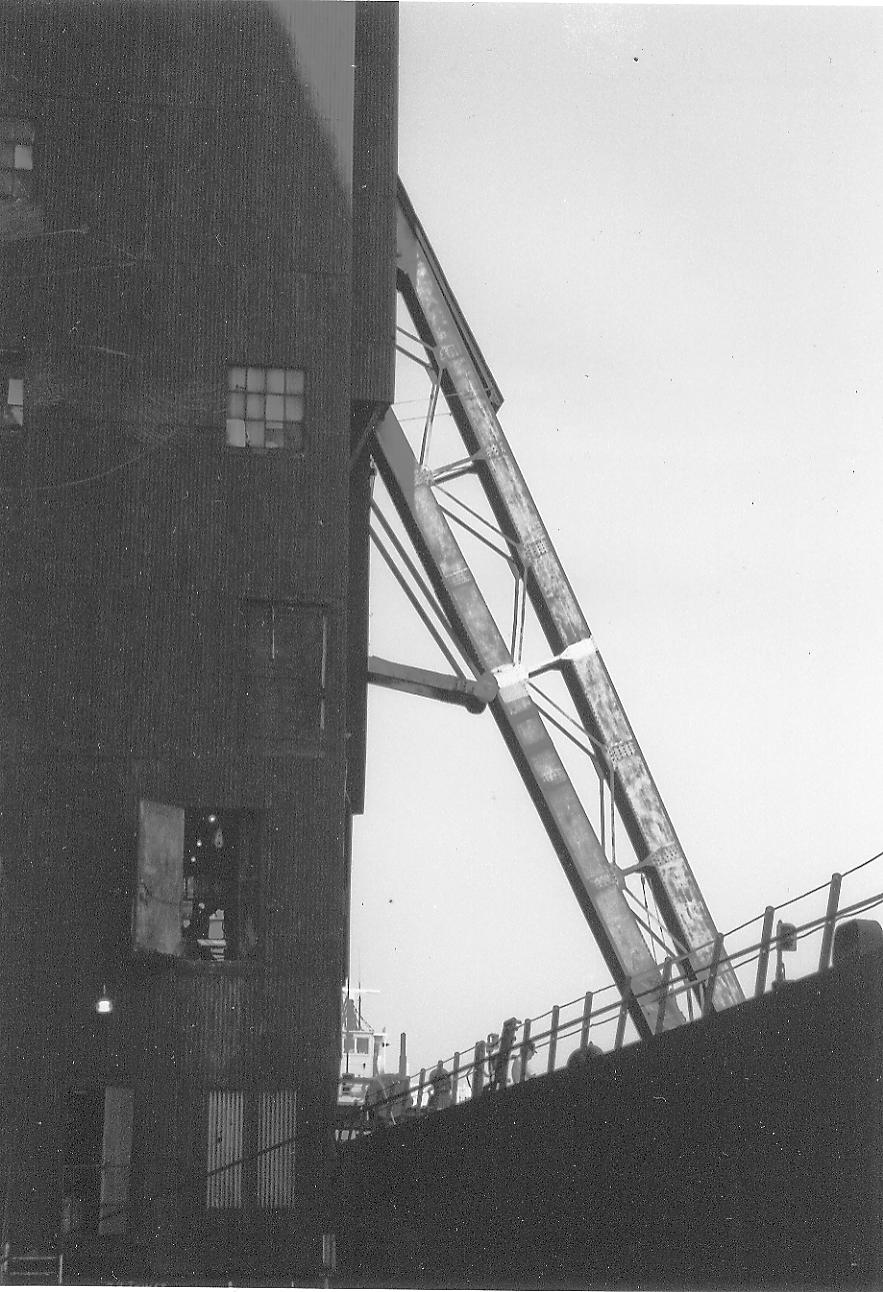 American Colossus The Grain Elevator The Standard Elevator
