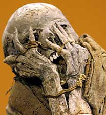 A mummy originating from the Chachapoyas Culture has been uncovered near the Amazon Rainforest in northern Peru.