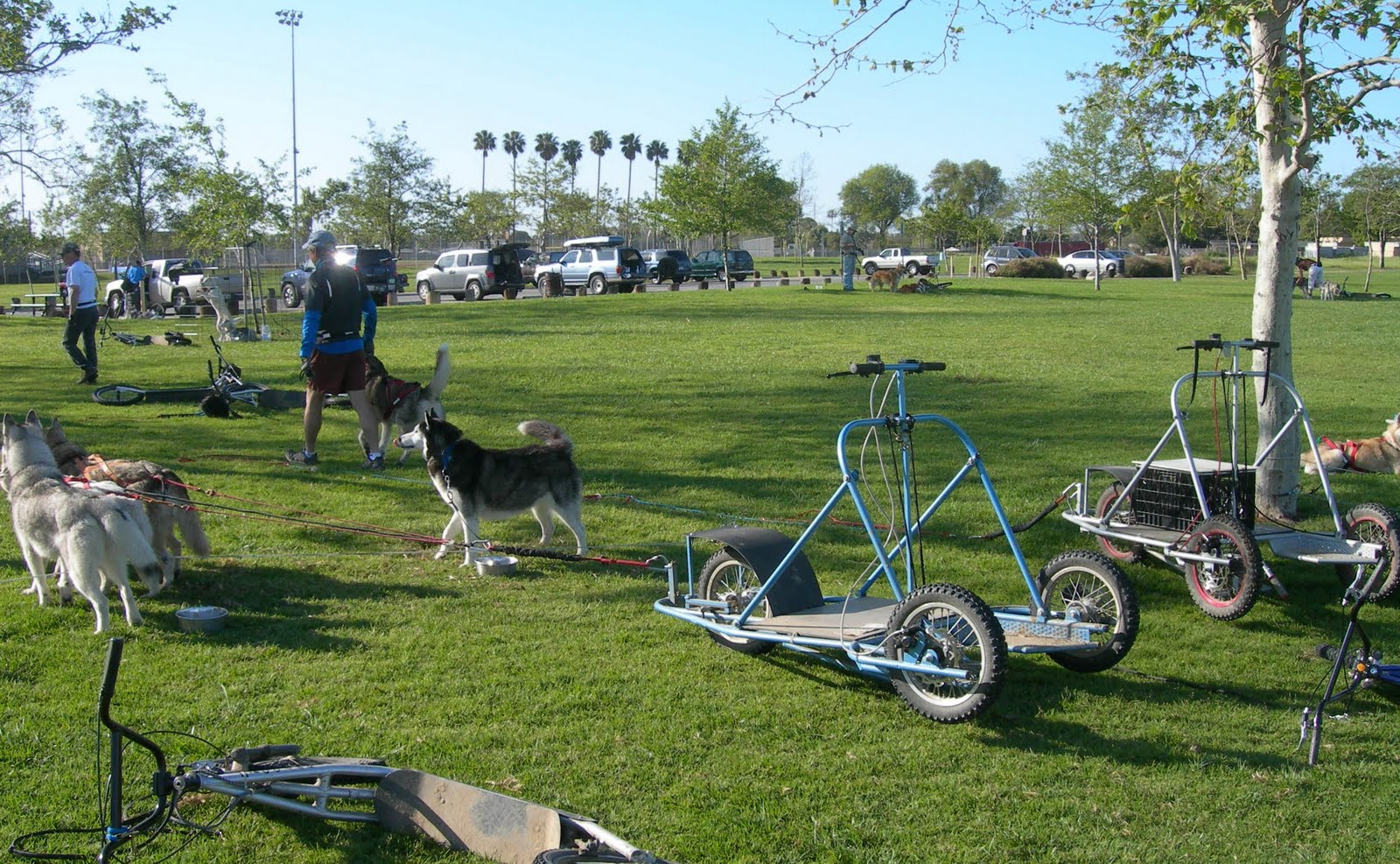 Arctis Carts California Urban Mushing Clinic