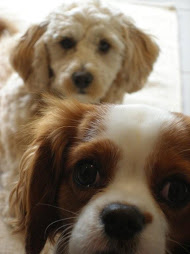 My Inspriation - Zach & Lucy