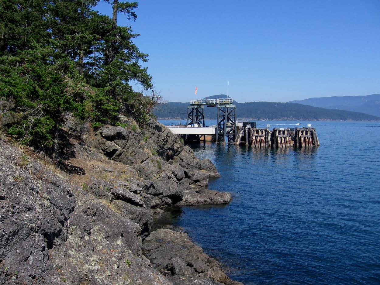 Perfume Project NW LOPEZ ISLAND LAVENDER, SHOOTING STARS AND WHALES