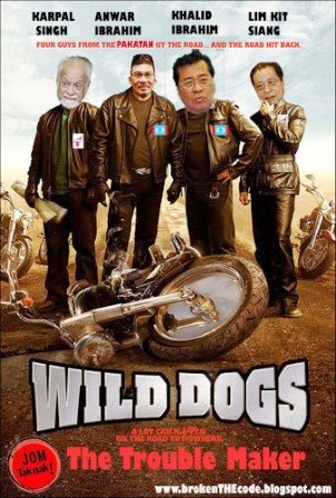 Wild Dogs !!!!