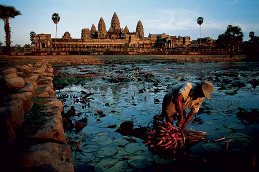 angkormccurry1.jpg
