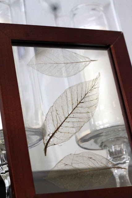 iskelet-pano-seffaf-iskelet-dekor