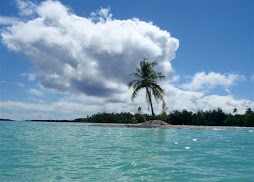 one coconut island