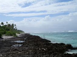 Rocky shore on reef side