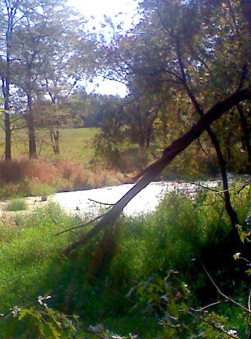 [JATrail+091309-004.jpg]