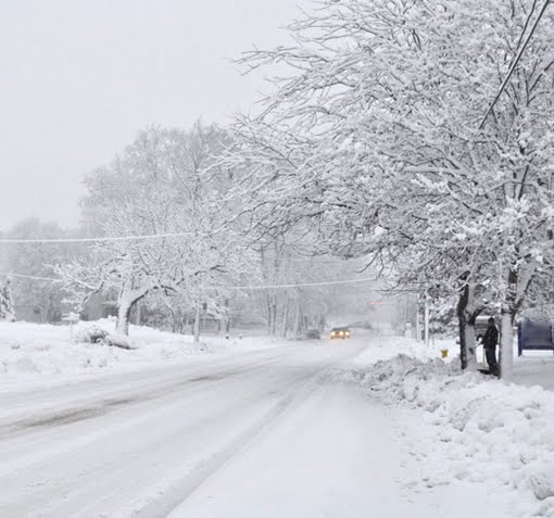 [DSC_0809.JPG+-+LowRes.JPG]