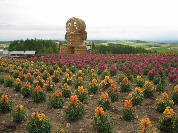 [IMG_0714a.JPG]