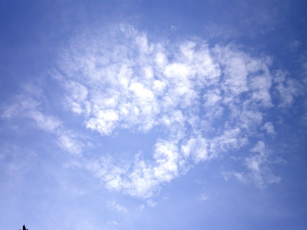 [IMGP3196.JPG]