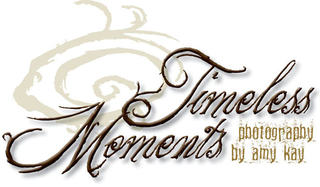 Timeless-Moments by Amy Kay