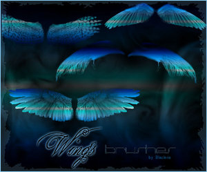 [Wings_Brushes_Gimp_by_BlaclyStuff.jpg]