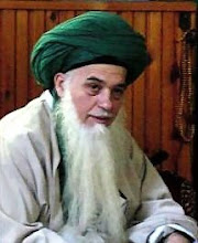 Mawlana Syaikh Hisham Kabbani ar-Rabbani qs