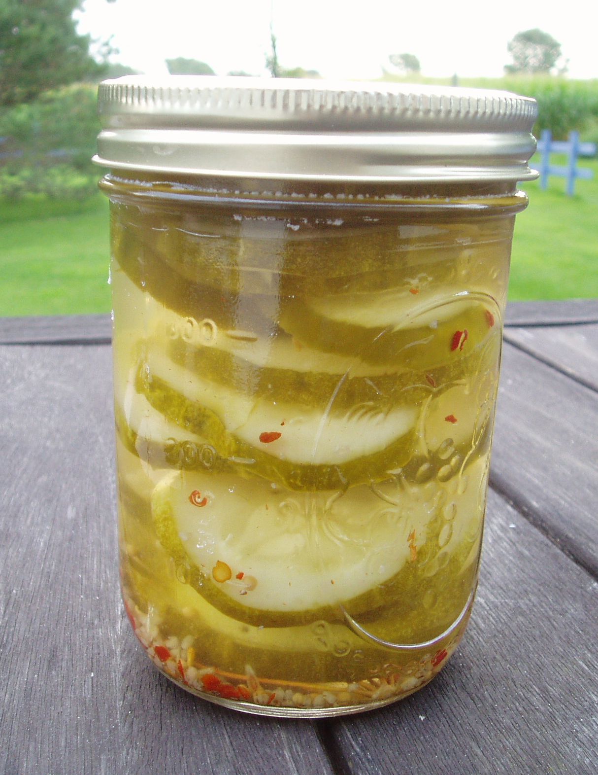 Lillja Designs Handcrafted Modern Metal Jewelry Spicy Dill Pickle