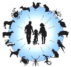 Apuntes Auxiliar Enfermeria Clasificacion De Las Enfermedades Transmisibles