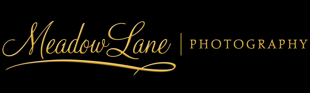 Meadow Lane Photography Videos