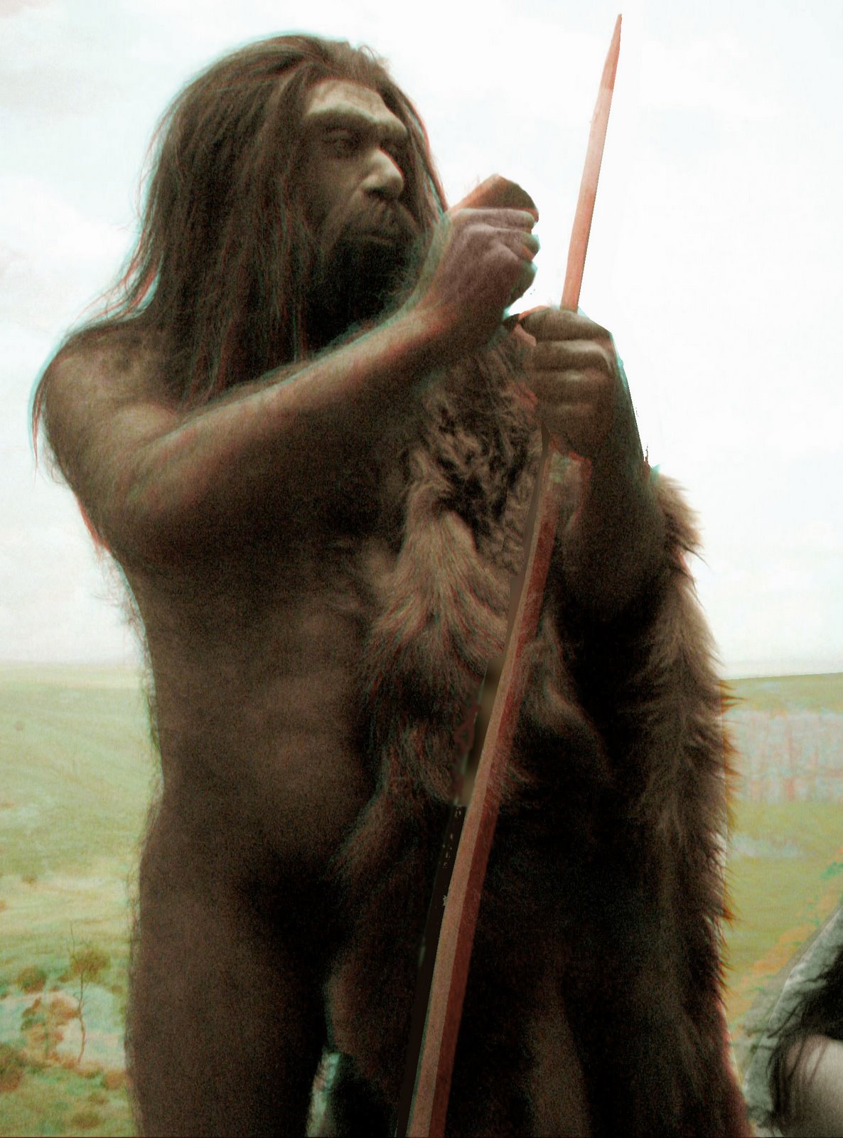 [Neanderthal_2D_src.jpg]