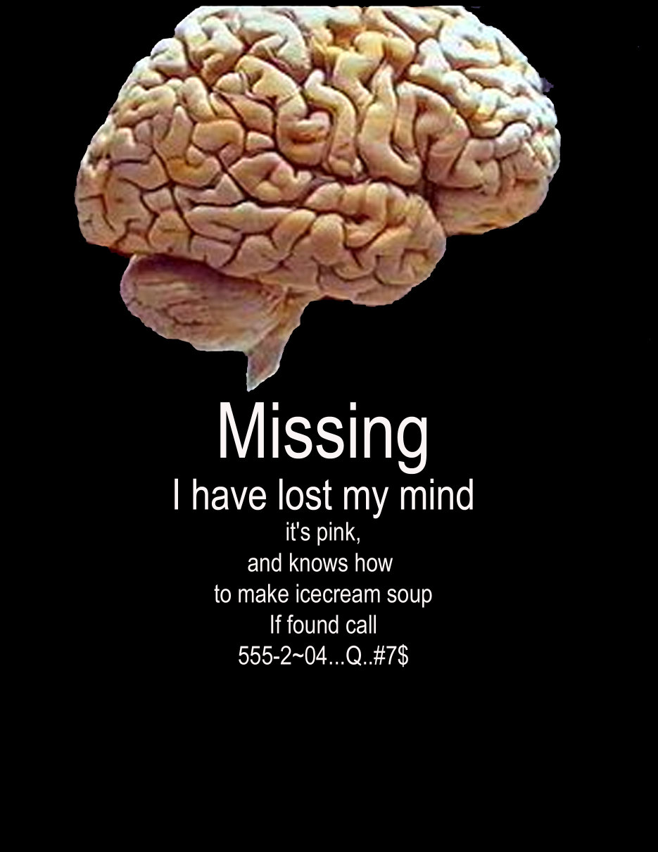[missing+brain.jpg]