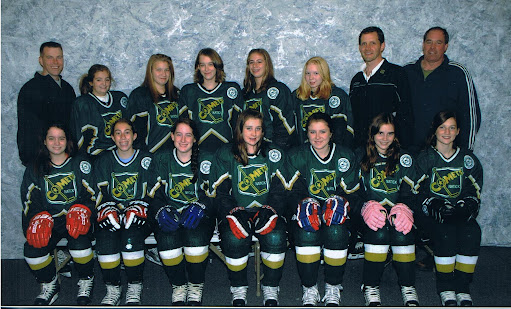 Natick Comets GU14 Team -- 2008-2009