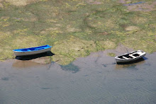 Boats in the mud flats at San Vicente de la Barquera