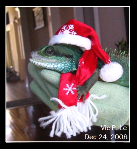 [dec+08+2.JPG]