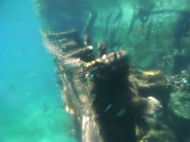 [Shipwreck+at+Marine+Park+06.JPG]
