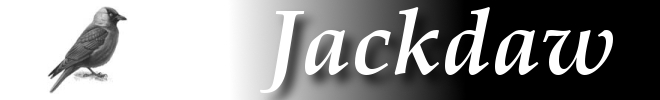 Jackdaw