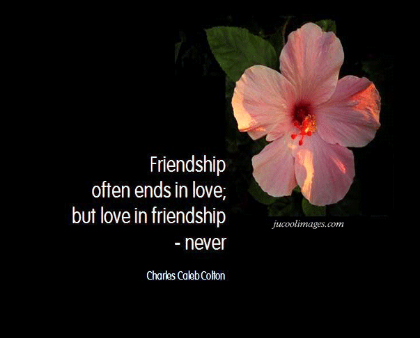 Happy friendship quotes search results from Google