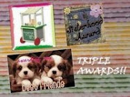 Blog Sisterhood Award