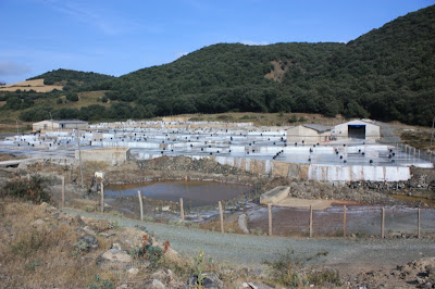 ETNOGRAFIA IBERICA SALINAS DE ORO (NAVARRA)