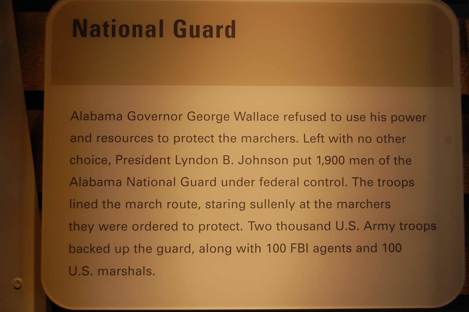 my life in words with photos: selma to montgomery continued