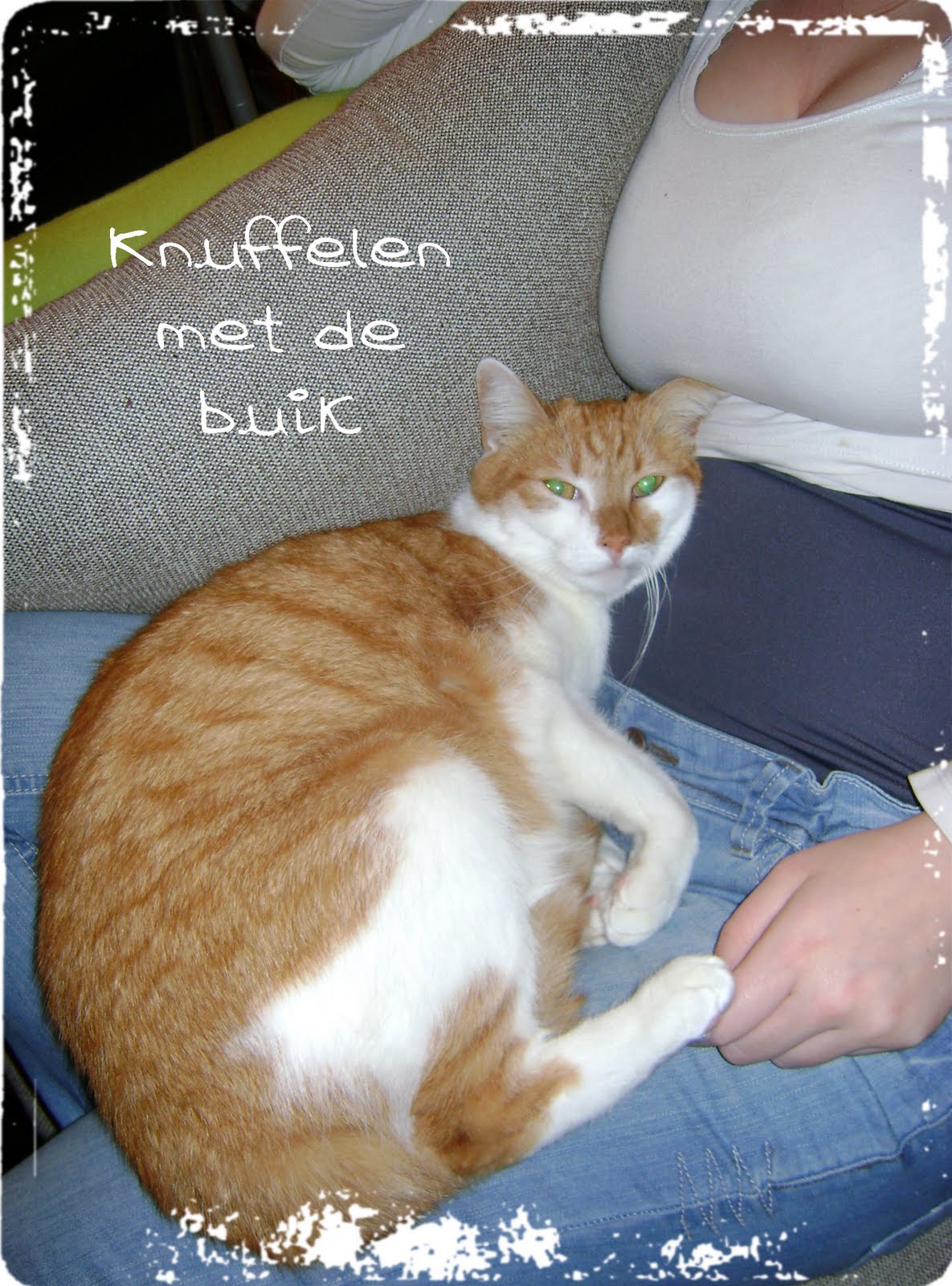 [Nala+knuffelen.jpg]