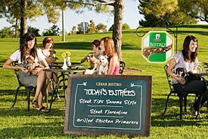 [Petfood+on+tour.jpg]