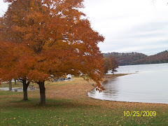 RV park at Beaver Lake
