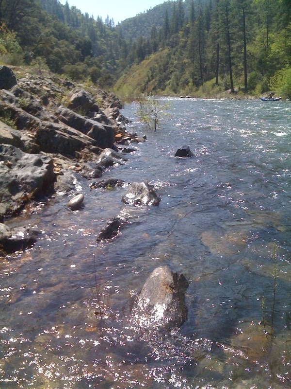 pedal-boat-adventure