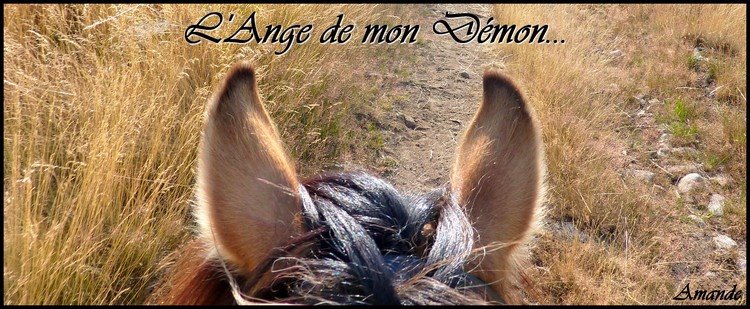 L'ange de mon démon